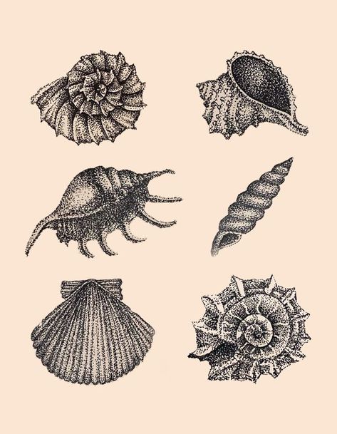 This week's everyday antistress 🐚 #artoftheday #inkdrawing #inktober #seashell #ink #linedrawing #customart #sketch @sketchbook #digitalart Beach Inspired Tattoos, Seashell Drawing, Shell Drawing, Dotted Drawings, Stippling Art, Illusion Art, Art Inspiration Painting, Art Portfolio, Art Block