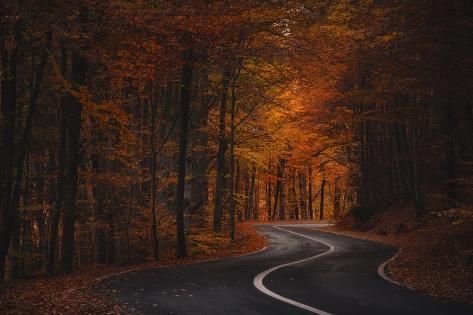 size: 12x8in Photographic Print: Road to November by Tiberiu Scarlat : November Landscape Wallpaper, Autumn Computer Backgrounds, Autumn Aesthetic Wallpaper Desktop Hd, Fall City Wallpaper Desktop, Fall Truck Wallpaper, Autumn Landscape Desktop Wallpaper, Cute Fall Backgrounds, Imac Wallpaper, Garden Tattoos