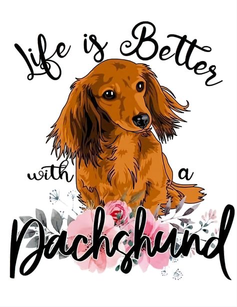 Love You Quotes For Him Husband, Bulls Wallpaper, Dog Room Decor, Colouring Pics, Dachshund Design, Dog Rooms, Weenie Dogs, Cute Shirt Designs, Sublime Shirt