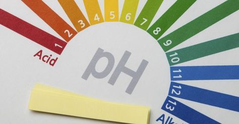 How to Maintain pH Balance in the Body Kwas Moczowy, Health Water, Danette May, Acid And Alkaline, Acidic Foods, Uric Acid, Ph Levels, Alkaline Diet, Alkaline Water