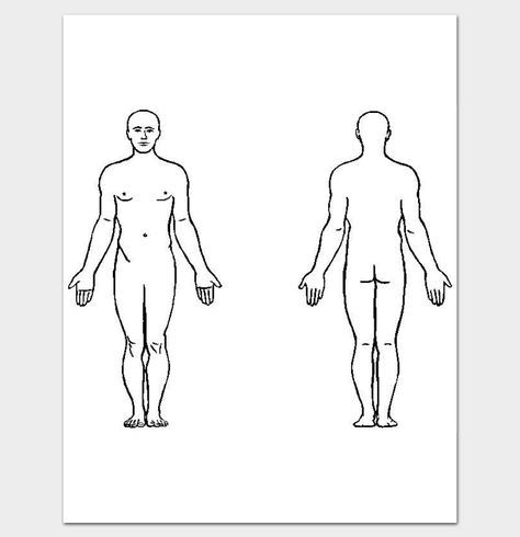 Body Outline Front and Back - 11+ Printable Worksheet, Drawing for PDF Human Body Outline Printable, Outline Body Drawing, Human Body Outline, Plus Size Going Out Outfits, Human Body Diagram, Body Templates, Male Body Drawing, Body Chart, Back Drawing