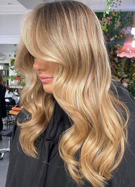 Golden Blowout Face Framing Haircut Face Framing Haircut, Framing Haircut, Blowdry Hairstyles, Hairstyles Blowout, Blowout Curls, Trendy Updos, Blowout Hair, Fall 24, Blow Out