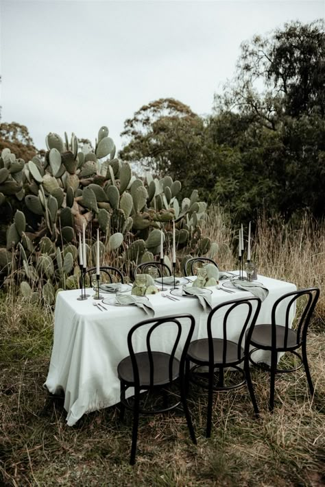 GO GREEN WEDDING INSPO – Hello May Karoo Wedding, Victoria Bride, Layered Table, Coastal Wedding Venues, Spanish Wedding, Custom Shades, Melbourne Wedding, Table Inspiration, Flower Inspiration