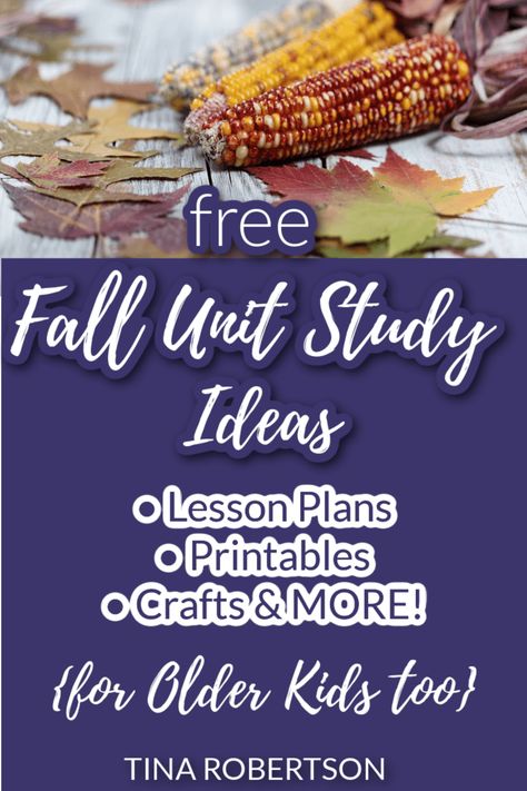 Kindergarten Fall Unit Studies, Explorer Unit Study, Fall Unit Study Kindergarten, Homeschool Fall Ideas, Fall Unit Study Homeschool Free, Free Fall Homeschool Printables, Leaf Unit Study, Free Fall Unit Study, Fall Unit Kindergarten