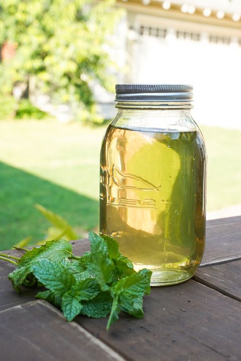 The Secret to Big Batch Mojitos (without all the work) | Life on Beacon Camping Drinks Alcohol, Mint Syrup Recipe, Mojito Syrup, Infused Simple Syrup, Mint Syrup, Simple Syrup Recipe, Preserving Vegetables, Camping Drinks, Mojito Mocktail