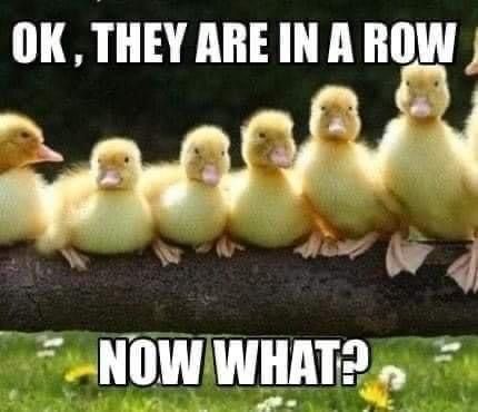 Life Happens Quotes, Ducks In A Row, Funny Day Quotes, Happy Wednesday Quotes, Nyc Brooklyn, You Make Me Laugh, Crazy Quotes, Unlock Your Potential, Funny Picture Quotes