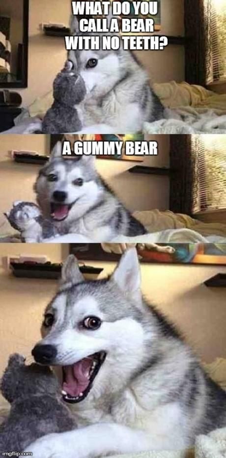 Gummy bear. Pun Husky, Husky Jokes, Bad Pun Dog, Funniest Texts, Husky Humor, Funny Husky, Funny Dog Jokes, Dog Puns, Pleated Jeans