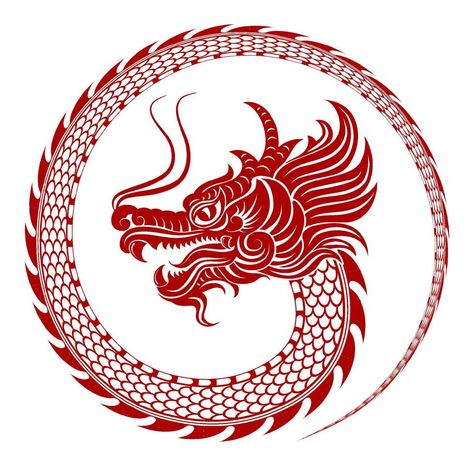 2024 Dragon Design, Dragon Chinese New Year Illustration, Chinese Zodiac Dragon Art, Earth Dragon Chinese Zodiac, Chinese Dragon Graphic Design, Chinese New Year 2024, Dragon Zodiac, Chinese New Year Dragon, Adidas Art