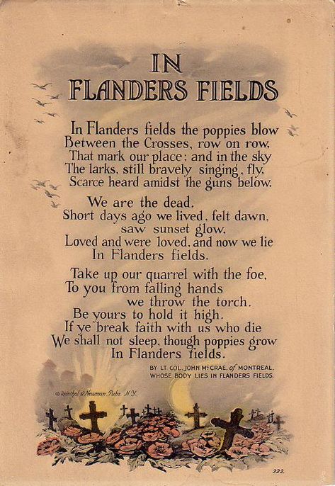 In Flanders Fields the poppy grew. Wear your poppies proud.  I will. In Flanders Fields, John Mccrae, Flanders Field, Anzac Day, Remembrance Day, A Poem, Veterans Day, Military History, The Words