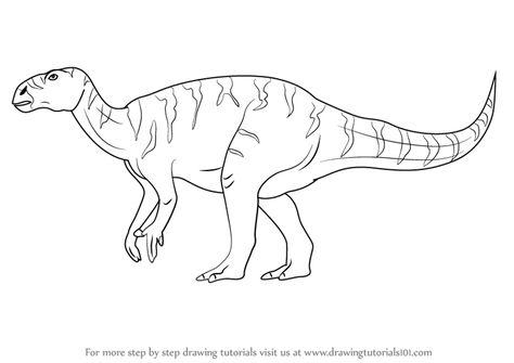 Learn How to Draw a Iguanodon (Dinosaurs) Step by Step : Drawing Tutorials Iguanodon Drawing, Circus Embroidery, Pictures Of Dinosaurs, Dinosaur Stuff, Dino Drawing, Skull Rose Tattoos, Colouring Pictures, Color Knowledge, Owl Coloring Pages