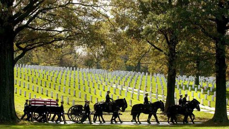 The return of horse-drawn caissons to Arlington National Cemetery is delayed for at least months Unknown Soldier, Arlington National Cemetery, National Cemetery, Horse Drawn, American Heroes, God Bless America, Us Map, Veterans Day, Barack Obama