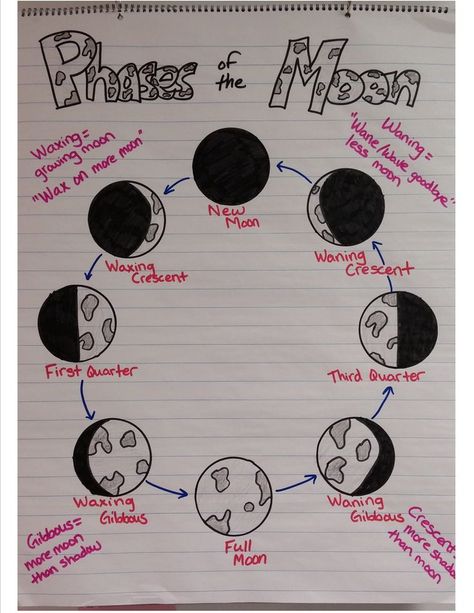 Miller's Science Space: Anchor Charts, Journals and Sooooo Much Going on! Phases Of The Moon Anchor Chart, Moon Phases Anchor Chart, Moon Anchor Chart, Solar System Anchor Chart, 8th Grade Science Projects, Science Chart, Science Anchor Charts, The Phases Of The Moon, Classroom Anchor Charts