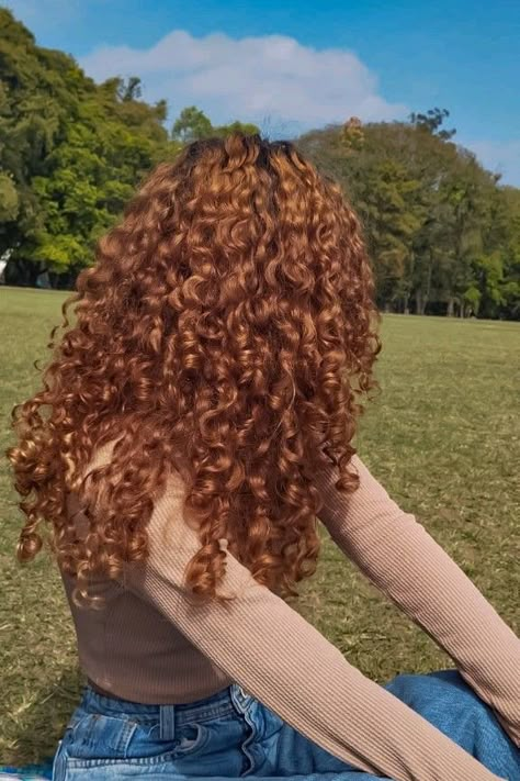 Curly hair styled with caramel tones, adding warmth and vibrant shine to the curls. Warm Brown Curly Hair, Curly Caramel Highlights, Caramel Curly Hair, Honey Brown Curls, Brazilian Curls, Warm Caramel Highlights, Oc Style, Honey Highlights, Warm Highlights