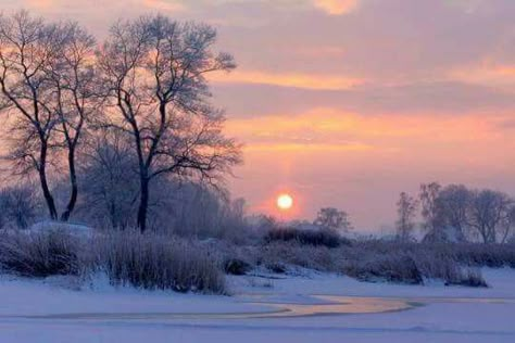 Winter Landscape Photography, Pastel Landscape, Painting Snow, Winter Landscapes, Winter Sunset, Winter Painting, Landscape Art Painting, Tableau Art, Landscape Features