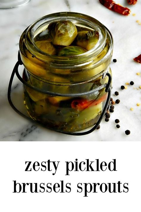 Too many Brussels Sprouts? Here\'s your solution - these Zesty Pickled Brussels Sprouts take minutes to make & are oh so delish! #BrusselsSprouts #ZestyPickledBrusselsSprouts #PickledBrusselsSprouts #BrusselsSproutsPickles Pickled Brussel Sprouts, Brussels Sprouts Recipe, Xmas Ideas, Brussels Sprouts, Vegan Paleo, Brussel Sprouts, Paleo Gluten Free, Brussels, Vegan Vegetarian