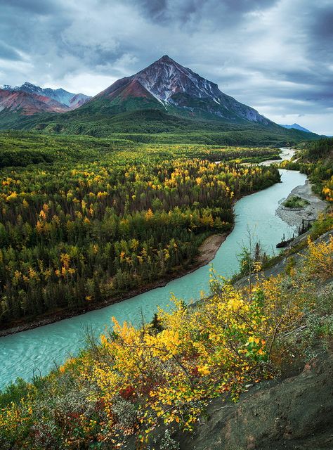 You'll see this gorgeous scene on the Glenn Highway near Palmer, #Alaska. "King Mountain and Matanuska River in Alaska, USA (by Joe Ganster)" Jaime Lannister, Autumn Foliage, Arya Stark, Alaska Travel, America The Beautiful, Aruba, Places Around The World, Barbados, Mountain Landscape