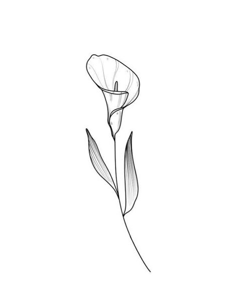 calla lilly Lillies Tattoo, Lily Flower Tattoos, Street Tattoo, Mommy Tattoos, Flower Tattoo Shoulder, Flash Tattoo Designs, Lily Tattoo, Spine Tattoos, Best Tattoo Designs