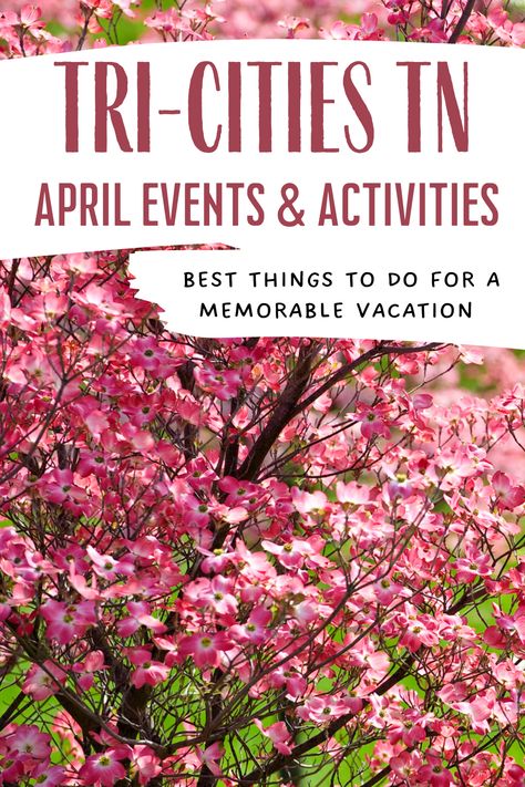 April Events, Kingsport Tennessee, Bristol Tn, Tennessee Travel, Johnson City Tn, Johnson County, Tennessee Vacation, Tourist Sites, Chattanooga Tennessee