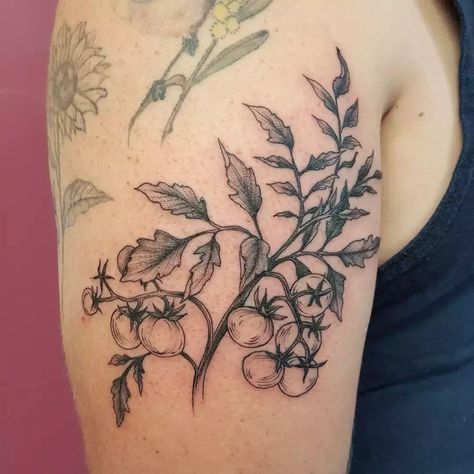 🌻 Anna Matheson 🌻 | Cherry toms & bee for Taryn's sleeve in progress! 🌿🍅Thanks a bunch, it was so nice to see you again! 🖤 The healed tattoos in these photos… | Instagram Tomato Leaf Tattoo, Tomato Plant Tattoo Black And White, Garlic Flower Tattoo, Tomato Tattoo Black, Cherry Tomato Tattoo, Tomato Vine Tattoo, Tomato Plant Tattoo, Tomato Tattoo, Anemone Tattoo