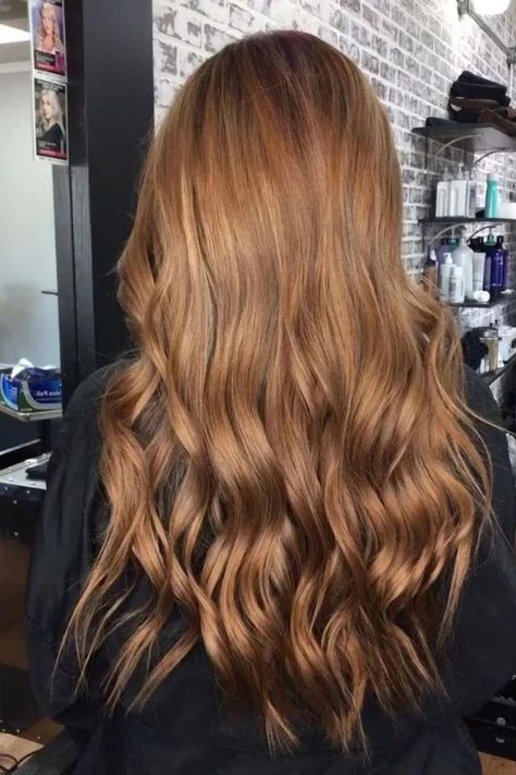 Copper Brown Hair Hair Inspo Pics, Chocolate Copper Hair, Copper Brown Hair, Copper Hair Color, Inspo Pics, Copper Brown, Living Proof, Copper Hair, Hair Colors