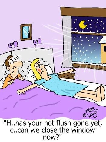 Hot Flashes Humor, Hilarious Pictures, Funny Cartoons Jokes, Slaap Lekker, Joke Of The Day, Hot Flashes, Cartoon Jokes, Funny Cartoon, Funny Cartoons