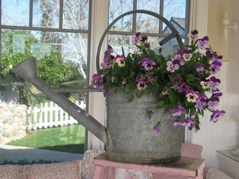 in a sprinkler Vintage Tool Box Ideas, February Day, Bucket Planters, Mop Bucket, Metal Watering Can, Container Gardening Flowers, Watering Cans, Beautiful Bouquets, Vintage Garden Decor