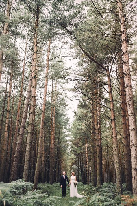 Forest Wedding Tennessee, New England Forest Wedding, Garden Forest Wedding, Pine Forest Wedding, Forest Wedding Venues, Oregon Wedding Venues, Wedding In The Forest, Wv Wedding, Forest Magical