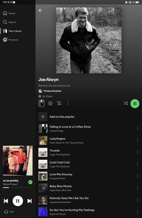 Joe Alwyn Spotify Music Him Playlist, Remind Me Of Him, Herb Alpert, Joe Alwyn, Cage The Elephant, Lady Fingers, Elephant Love, Song Playlist, Music Playlist