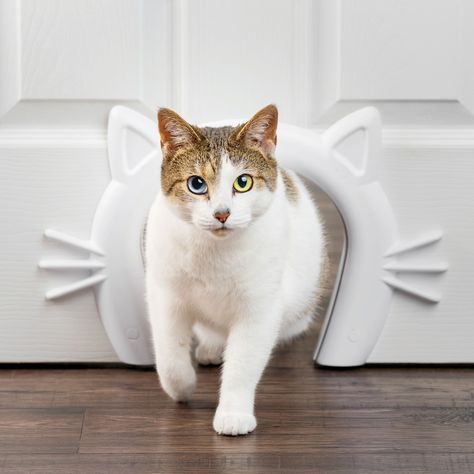 Pet door ideas