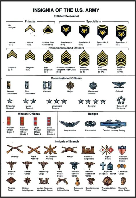 U.S. Army Insignia Fictional Symbols, U.s. Army, Army Insignia, Military Awards, Military Ranks, Amphibious Vehicle, Effective Study Tips, Basic Training, Tactical Gear Loadout