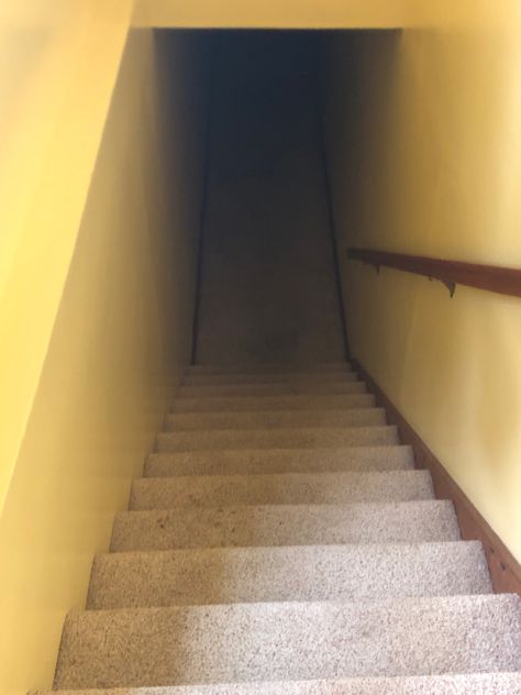 Old Stairs Aesthetic, Creepy Basement Stairs, Going Down Stairs, Stair Way, Hidden Staircase, Basement Steps, Basement Doors, Dream Core, Weirdcore Aesthetic