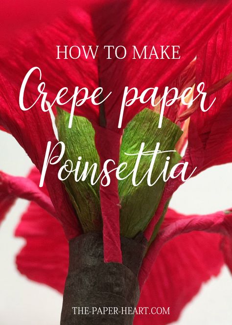 Christmas Flowers Diy, Crepe Paper Decorations, Paper Poinsettia, Xmas Flowers, Big Paper Flowers, Christmas Paper Craft, Christmas Flower Decorations, Poinsettia Plant, Paper Flower Wreaths