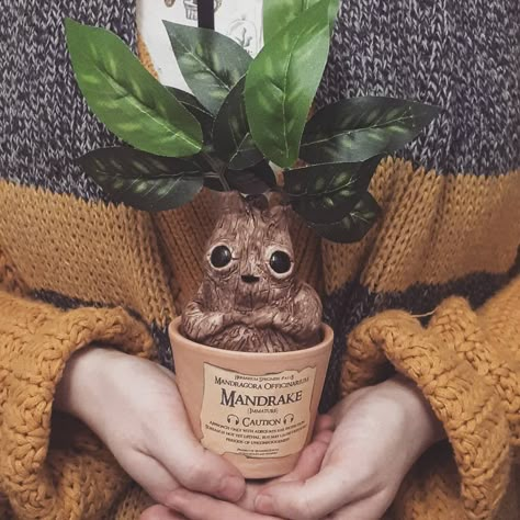 Clay Mandrake, Harry Potter Fairy, Mandrake Harry Potter, Mandrake Plant, Harry Potter Mandrake, Crea Fimo, Potters Clay, Take Up Space, Festa Harry Potter