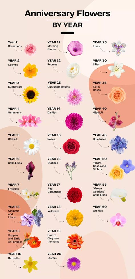 Wedding Flowers Meaning, Buy Flowers For Yourself, Wedding Bouquet Flowers Types, Coral Wedding Anniversary Ideas, Bouquet Of Flowers Arrangements, Types Of Flowers For Wedding Bouquet, Flower Bouquet Anniversary, Anniversary Floral Arrangements, Flower Bouquet Price List