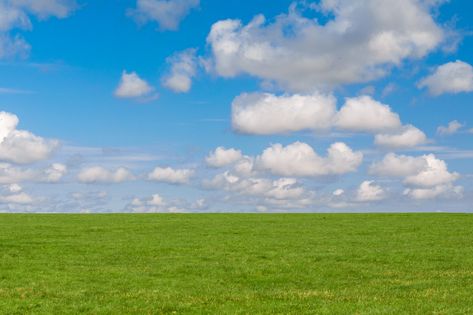 Roblox Background, Thumbnail Background, Background Sky, Grass Background, Free Background Images, Sky Background, 수채화 그림, Liminal Spaces, Quote Backgrounds