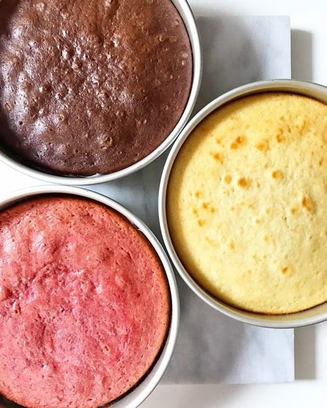 Neapolitan Cake | e2 bakes brooklyn Neopolitan Cake Recipes, Nepolian Cake, Neapolitan Cake Recipe, Neapolitan Desserts, August Cake, Neopolitan Cake, Neapolitan Cake, Making Cake, Leftover Cake