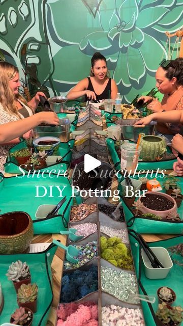 Sincerely Succulents (@sincerely.succulents) • Instagram photos and videos Succulent Shop Ideas, Succulent Bar Diy, Planting Workshop, Succulent Bar, Succulent Planting, Vendor Booth, Girls Day, Diy Bar, Succulents Diy