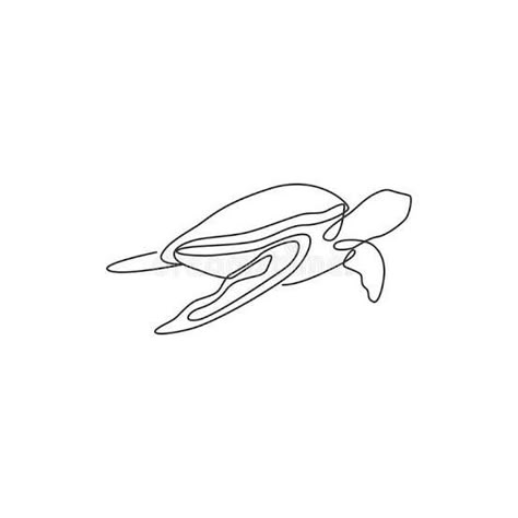 One Line Drawing Sea Animals, Sea Turtle Tattoo Linework, Sea Life Tattoos Simple, Sea Turtle Line Drawing, Single Line Turtle Tattoo, One Line Turtle Tattoo, Sea Turtle Line Tattoo, Sea Turtle Line Art, Turtle Line Tattoo