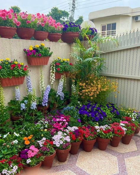 Shade Plants Container, Outdoors Ideas, Small Garden Landscape, Spring Gardening, Container Garden Design, Plant Care Houseplant, Cottage Garden Design, Small Backyard Gardens, Garden Arches