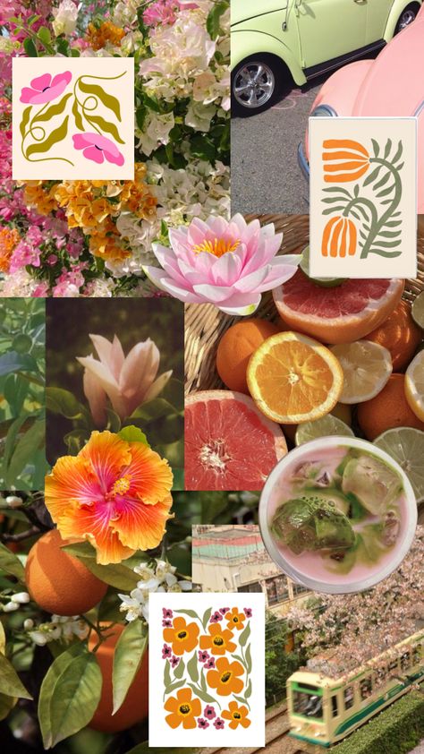 Color Scheme 🧡🩷💚 #pink #orange #green #aesthetic #colorpalette Pink Orange Green Color Scheme, Orange Green Color Scheme, Orange Green Aesthetic, Green And Orange Aesthetic, Purple Green Aesthetic, Green Color Scheme, Girly Apartments, Purple Kitchen, Green Color Schemes