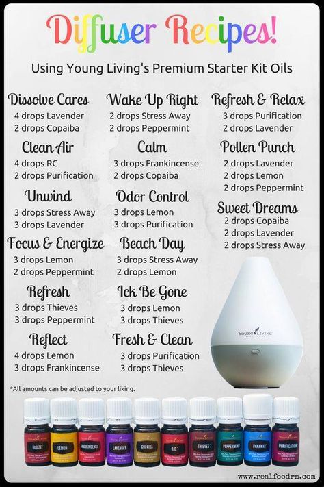 Diffuser Recipes!  All from the Young Living Premium Starter Kit. | The Blooming Carrot Young Living Essential Oils Starter Kit, Oils For Diffuser, Young Living Oils Recipes, Essential Oil Starter Kit, Essential Oil Combinations, Essential Oil Diffuser Blends Recipes, Young Living Essential Oils Recipes, Essential Oils Guide, Essential Oil Diffuser Recipes