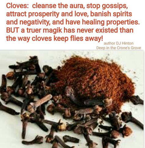 Cloves Remedies For Tooth Ache, Decrease Appetite, Magickal Herbs, Teething Remedies, Witch Herbs, Natural Teething Remedies, Sandalwood Fragrance, Magic Herbs, Magical Herbs