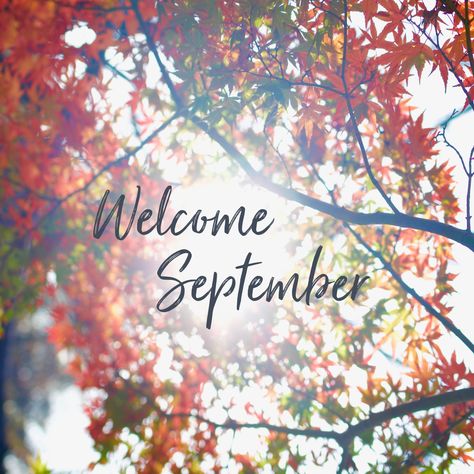 Welcome September New Wishes, International Women's Day Wishes, September Images, September Quotes, Neuer Monat, Welcome May, Welcome September, September Baby, Monthly Quotes