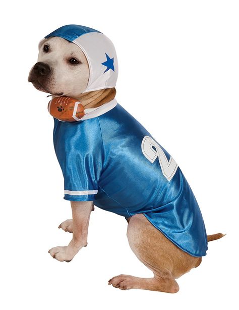 Blue Football Player Dog Costume -- You can get more details by clicking on the image. (This is an affiliate link and I receive a commission for the sales) #PetDogs Dog Football Costume, Football Player Costume, Football Costume, Cute Football Players, Dog Football, Blue Football, Football Helmet, Dog Costumes, Dog Costume