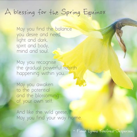 Spring Equinox Ritual, Ostara Ritual, March Flower, Wiccan Sabbats, Solstice And Equinox, Spring Quotes, Vernal Equinox, Spring Breakers, Spring Awakening