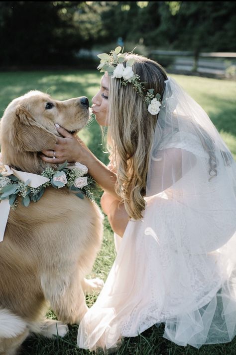 Dog Wedding Photos, Wedding Dresses Ideas, Photos With Dog, Wedding Picture Poses, Wedding Pets, Future Wedding Plans, Wedding Photos Poses, Cute Wedding Ideas, Dog Wedding