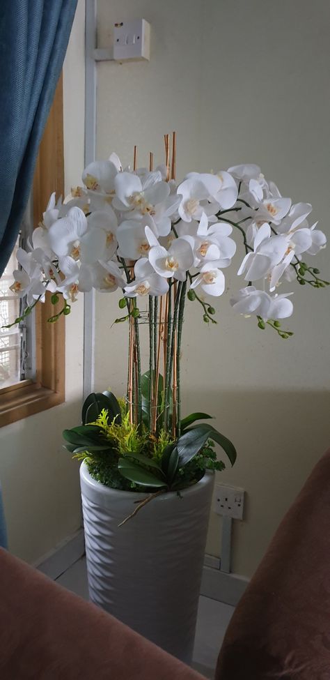 Second orchid arrangement .. the first big vase. Love it Giant Vase, Big Vase, Big Vases, Orchid Arrangements, Orchids, Flower Arrangements, Vase, Plants, Flowers