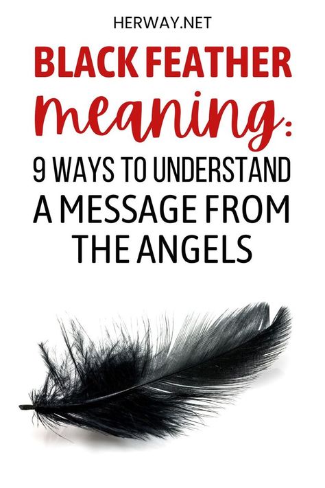 What is finding a black feather meaning? In this article, we will tell you all about its spiritual, angelic, and biblical meaning. Finding Black Feather Meaning, Meaning Of Black Feather, Feather Meaning Spiritual, Black Feather Spiritual Meaning, Finding A Black Feather Meaning, Spiritual Meaning Of Feathers, Feathers Spiritual Meaning, Crow Feather Meaning, Black And White Feather Meaning