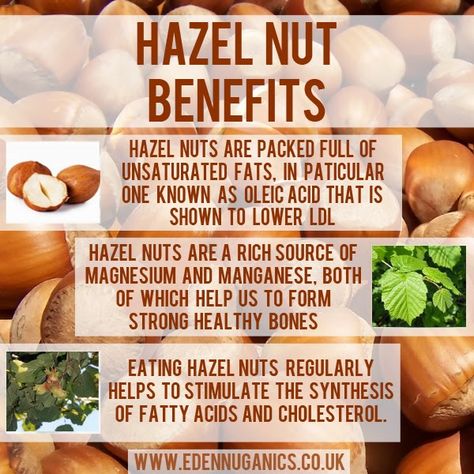 hazel nuts eden nuganic Hazelnut Benefits, Nuts Health Benefits, Nuts Benefits, Nut Benefits, Hazel Nut, Hazel Tree, Hazelnut Recipes, Hazelnut Tree, Cholesterol Foods