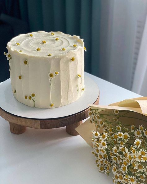 Cute Dainty Birthday Cake, Cake With Camomile Flowers, Pintrest Cakes Minimalist, Simple Cake Flowers, Simple White Cake With Flowers, Minimalist Bday Cake Aesthetic, Simple Baby Shower Cake Ideas, Small Baby Shower Cake, Minimalistic Birthday Cake